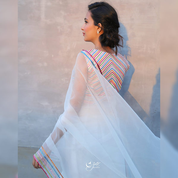 Chandni Organza Saree 2