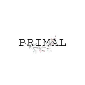 Primal Hair and Skincare