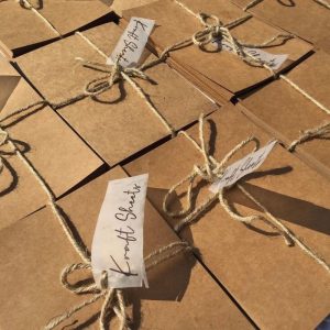 Loose Kraft Sheets Set