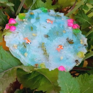Tropical fish coaster